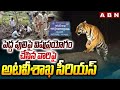 tiger tension in kamareddy abn telugu