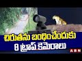 8 leopard spotted in ranga reddy district abn telugu