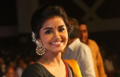 Anupama-Parameswaran-latest-Photos-07