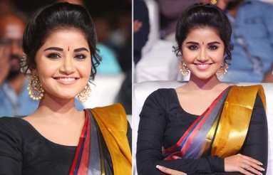 Anupama-Parameswaran-latest-Photos-10