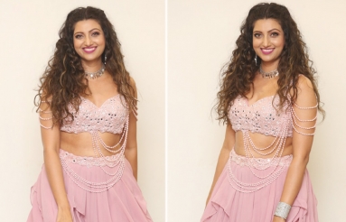 Hamsa-Nandini-Latest-Pics-01