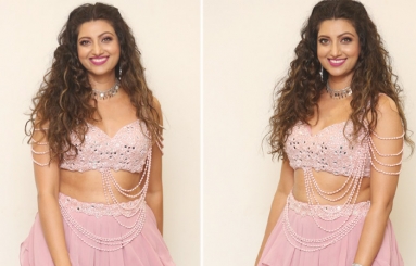 Hamsa-Nandini-Latest-Pics-10