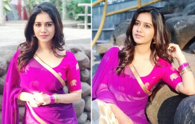 Nabha-Natesh-Photos-01