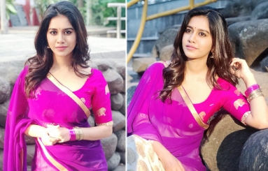 Nabha-Natesh-Photos-06