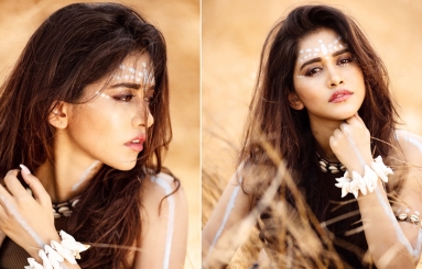 Nabha-Natesh-new-PhotoShoot-05