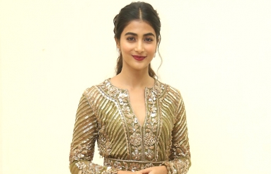 Pooja-Hegde-At-Aravindha-Sametha-Success-Meet-01