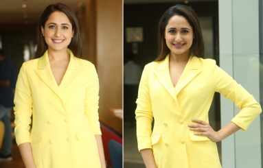 Pragya-Jaiswal-new-Photos-01