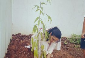 Allu-Arjun-Wife-Sneha-Reddy-Planting-Tree-03