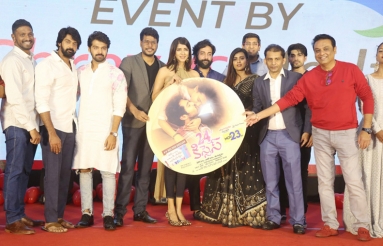 24-Kisses-Movie-Audio-Launch-01