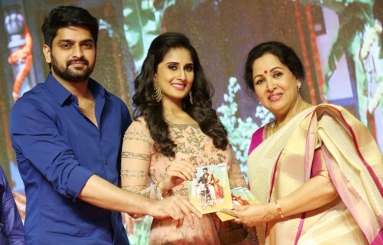 Ammamma-Gari-Illu-Pre-Release-Event-10