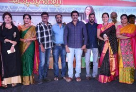 Ammammagarillu-Movie-Success-Meet-07