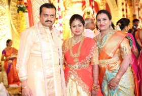 Bandla-Ganesh-Brother-Daughter-Wedding-Ceremony-07