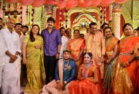 Bandla-Ganesh-Brother-Daughter-Wedding-Ceremony-15