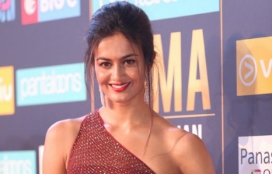 Celebs-at-SIIMA-Awards-2018-14