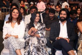 Celebs-at-SIIMA-Awards-2019-06