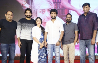 Gang-Leader-Press-Meet-Photos-10