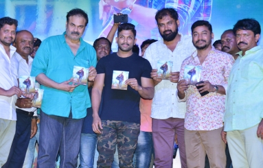 Naa-Peru-Surya-Movie-Audio-Launch-08