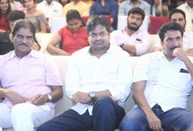 Nannu-Dochukunduvate-Pre-Release-Event-07