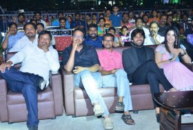 Taxiwala-Success-Celebrations-02