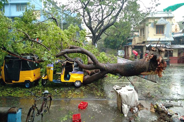 Cyclone Vardah Photos