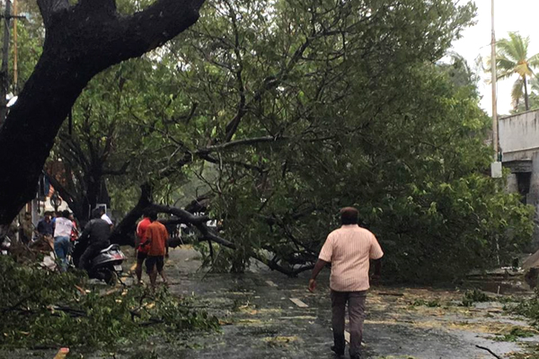 Cyclone Vardah Photos