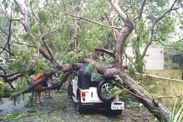 Cyclone Vardah Pics