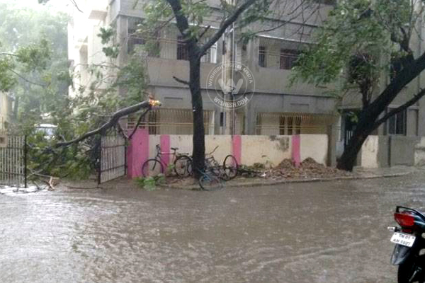 Cyclone Vardah Pics