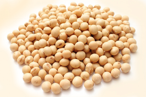 Soybeans