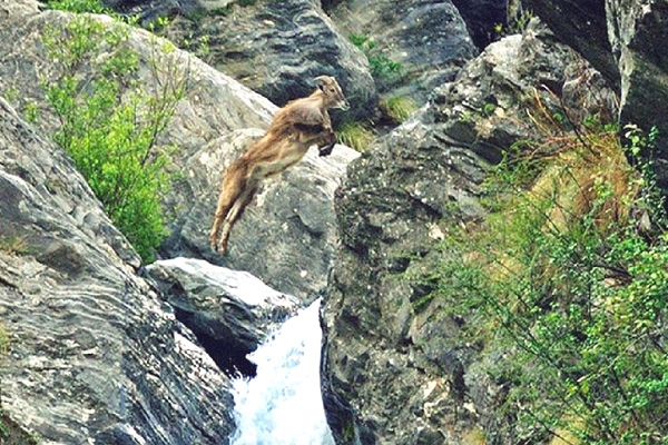 Pin valley National Park