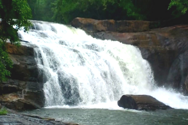 Thommankuthu Falls