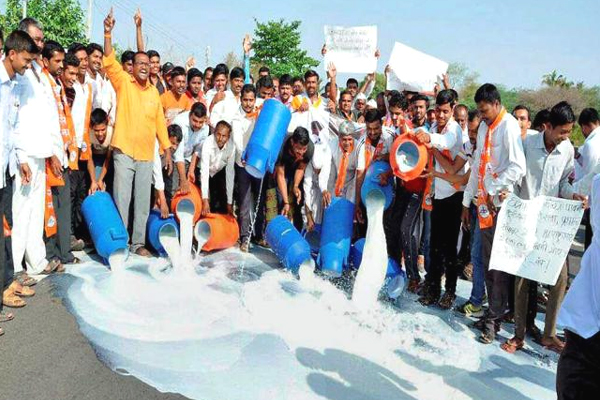 Maharashtra Farmers Strike Photos
