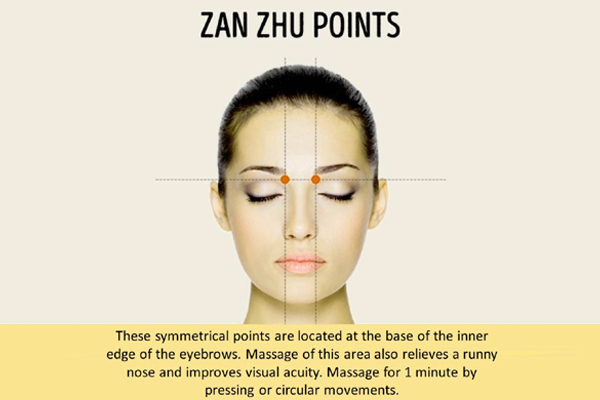 Zan Zhu point