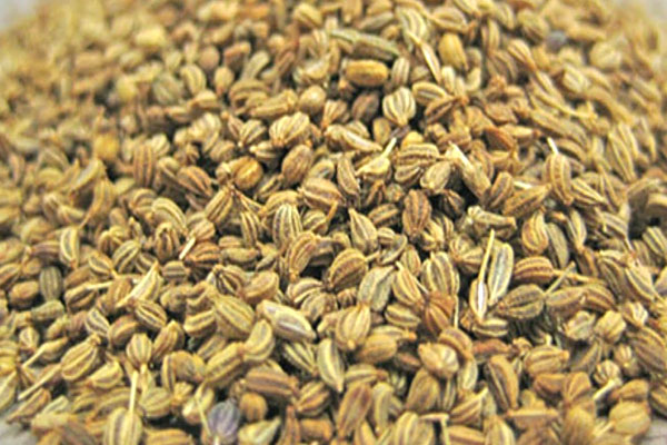 Carom Seeds