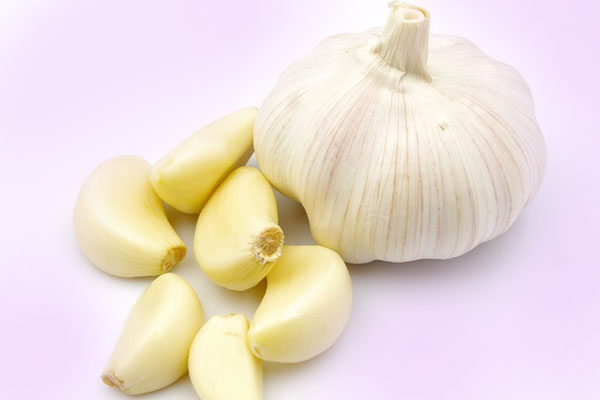 Garlic