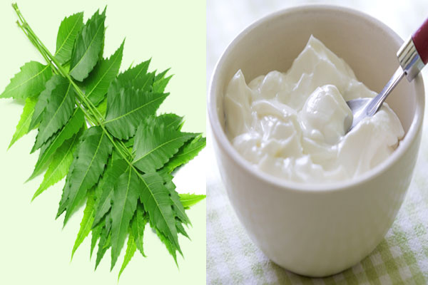 Neem And Yogurt