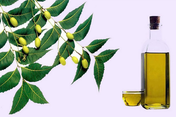 Neem Oil