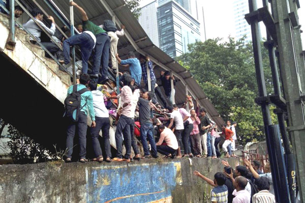Elphinstone Stampede