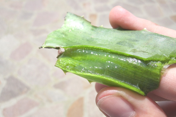 Aloe Vera Gel