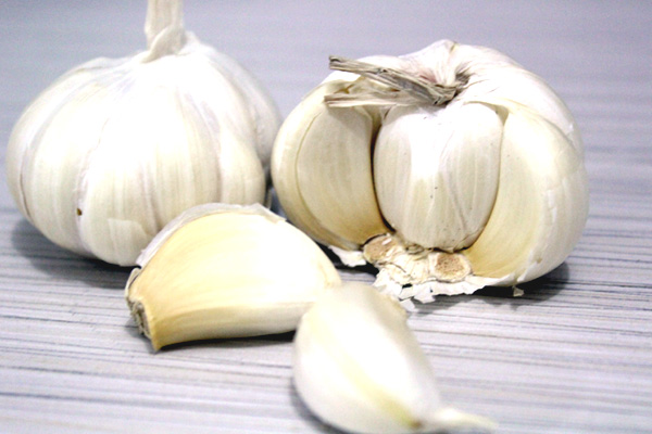 Garlic