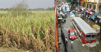 Floodwater damages crops enters homes