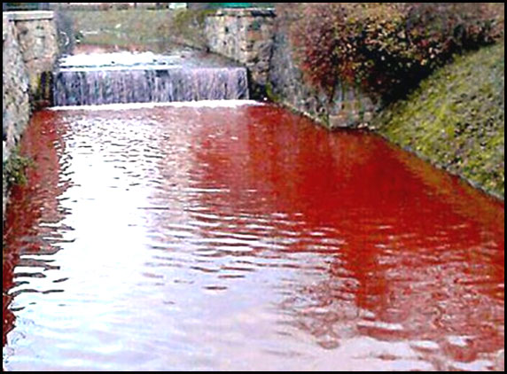 Creepy Blood stream in River Myjava 1