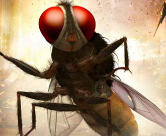 Eega02