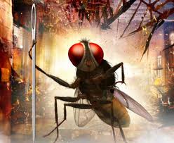 eega3