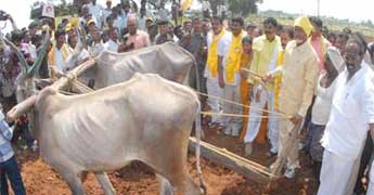 babu-04
