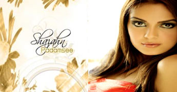 Shazahn Padamsee is an Indian film and stage actress,Telugu with Orange Movie 2010