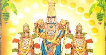 Today at Tirumala the lord of the seven hills Lord Sri Venkateswara