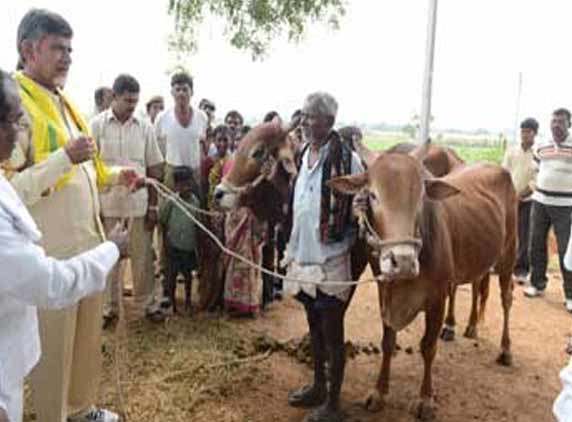 chandrababu4