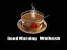 tirupathi, flash updates, tuesday morning wishesh, Good morning