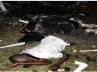 Kampala, Indian man dies in Uganda, indian national killed in uganda, Uganda