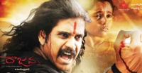 Actor Akkineni nagarjuna, Raajanna movie event gallery, raajanna review, Anna review
